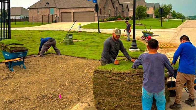 Sod Installation Project near Euless