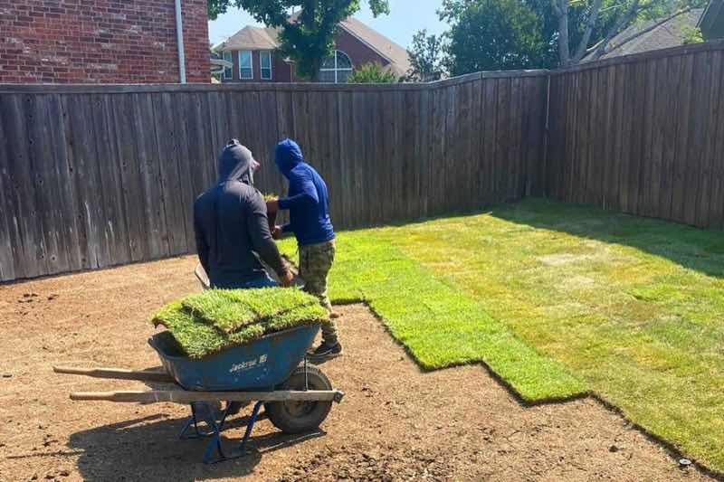 Lawn Replacement near Euless