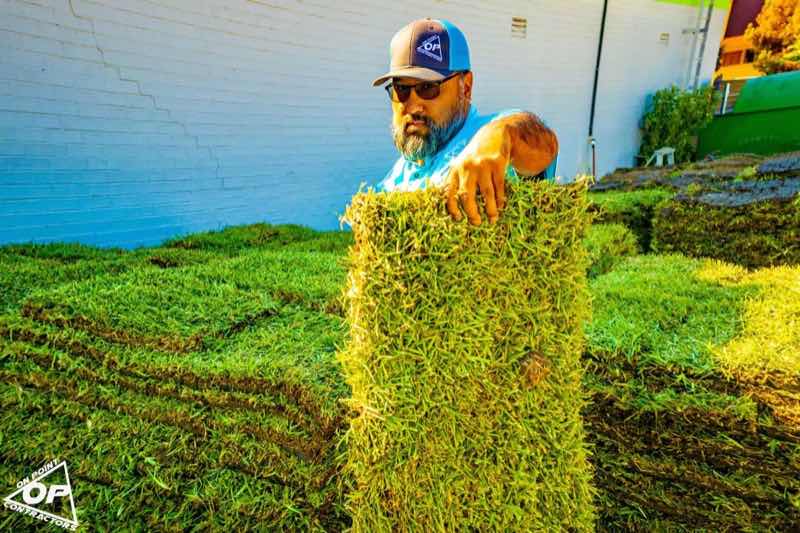 Irrigation System in Irving