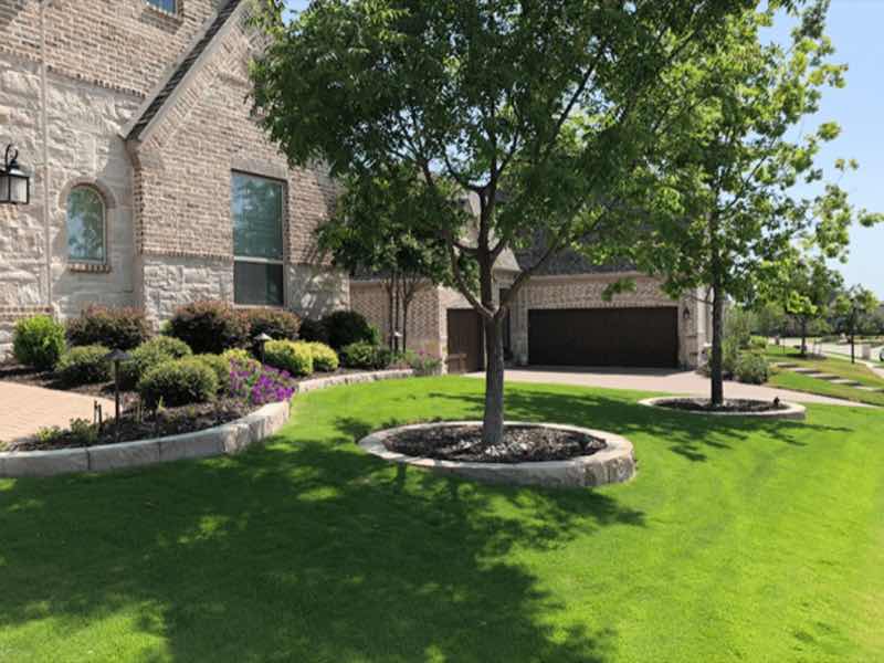 Lawn Replacement in Irving